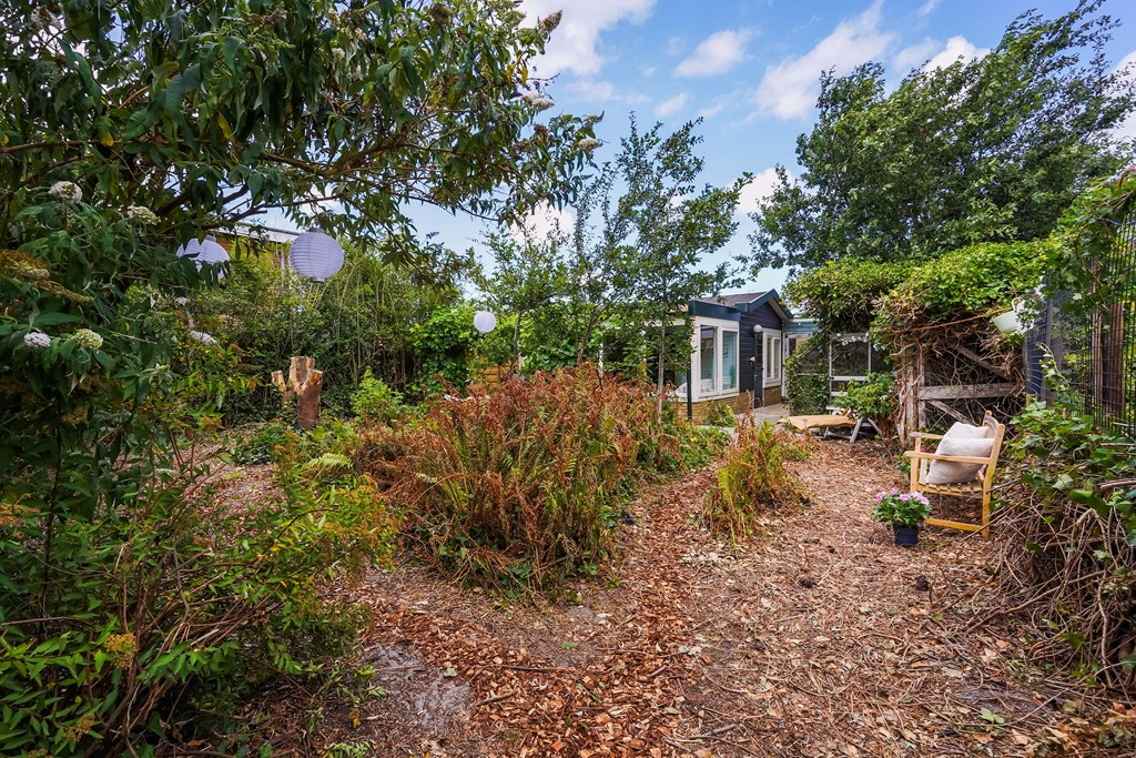 Zonnehoek 69_24.jpg